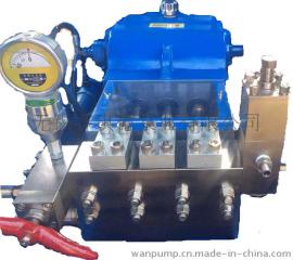 高压柱塞泵、优质高压柱塞泵、厂价高压柱塞泵（WPK-S）