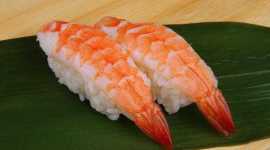寿司虾-寿司虾价格-福建海利水产