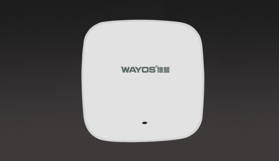 WAP-4501 无线局域网接入点（AP）