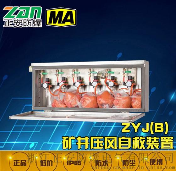 【正安防爆】ZYJ(B) 矿井压风自救装置 压风自救系统