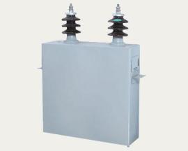 BFM10.5-50-1W高压并联电容器巨速电气