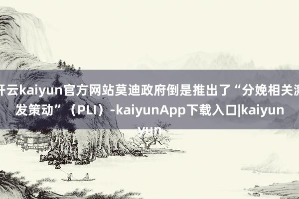 开云kaiyun官方网站莫迪政府倒是推出了“分娩相关激发策动”（PLI）-kaiyunApp下载入口|kaiyun