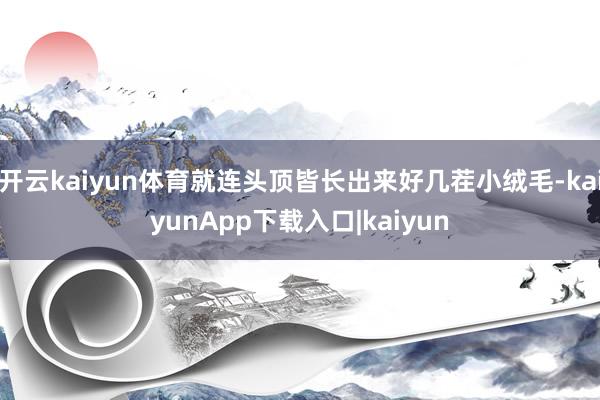 开云kaiyun体育就连头顶皆长出来好几茬小绒毛-kaiyunApp下载入口|kaiyun