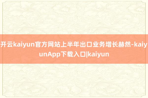 开云kaiyun官方网站上半年出口业务增长赫然-kaiyunApp下载入口|kaiyun