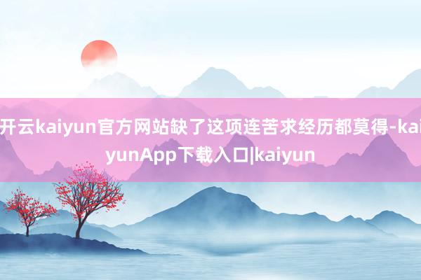 开云kaiyun官方网站缺了这项连苦求经历都莫得-kaiyunApp下载入口|kaiyun